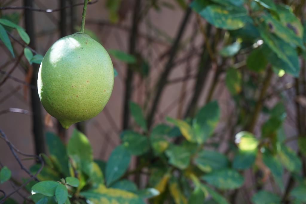Hotel Antica Dimora Horti Luculliani Řím Exteriér fotografie